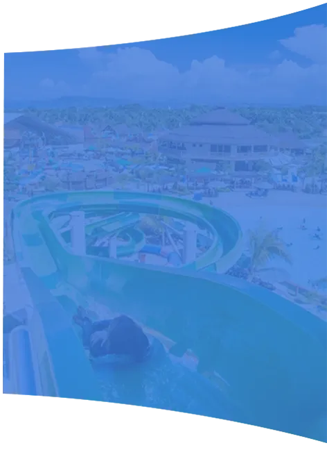 Investment and Partnership